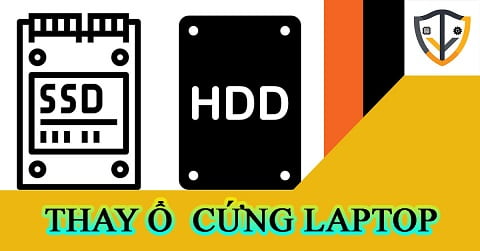 PC – Laptop Thành Đoàn